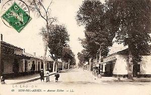 Sidi bel abbes 159